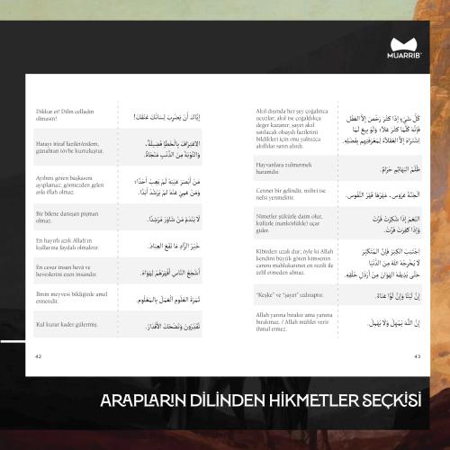 Arapların Dilinden Hikmetler Seçkisi